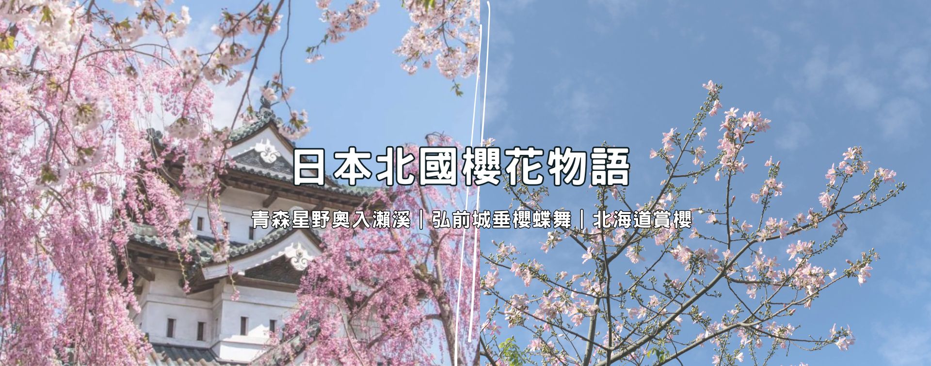 日本北國櫻花物語